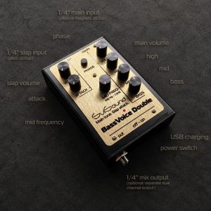 BassVoice Double